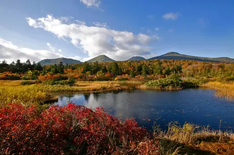 Le mont Hakkôda en automne Le mont Hakkôda en automne