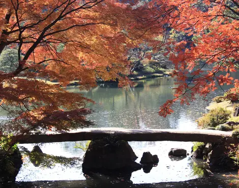 Le jardin Rikugi-en en automne Le jardin Rikugi-en en automne