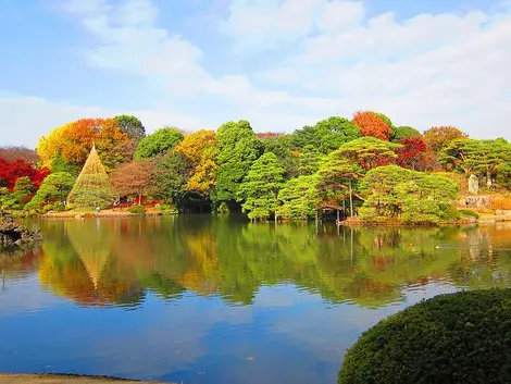 Dégradé des couleurs du jardin Rikugi-en Dégradé des couleurs du jardin Rikugi-en