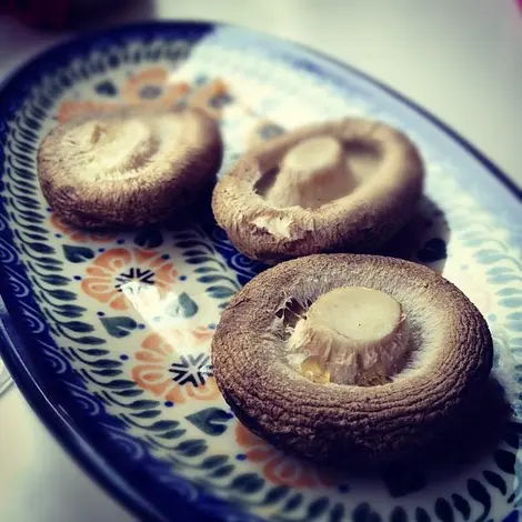 Des champignons shiitake, entrant dans la composition de certaines soupes miso Des champignons shiitake, entrant dans la composition de certaines soupes miso