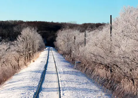 Le givre du matin vu depuis un train sur la ligne JR Senmô Le givre du matin vu depuis un train sur la ligne JR Senmô