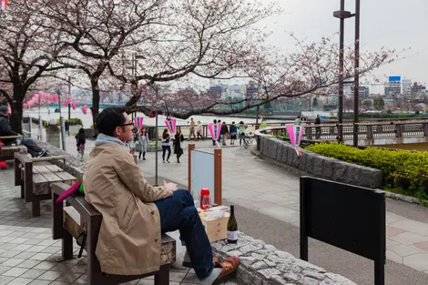 Hanami : une coutume aussi pour les âmes solitaires !