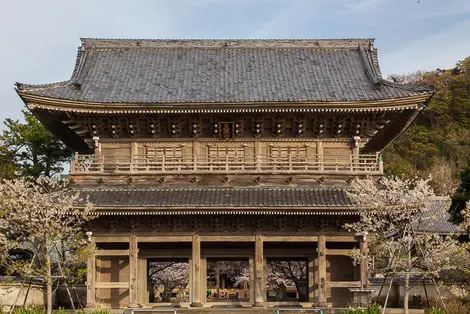 La grande porte du Kômyô-ji à Kamakura au moment des cerisiers en fleur La grande porte du Kômyô-ji à Kamakura au moment des cerisiers en fleur