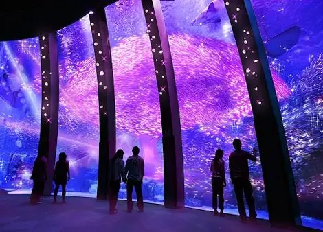 "Show des 70 000 sardines" de l'aquarium Yokohama Hakkeijima Sea Paradise. "Show des 70 000 sardines" de l'aquarium Yokohama Hakkeijima Sea Paradise.