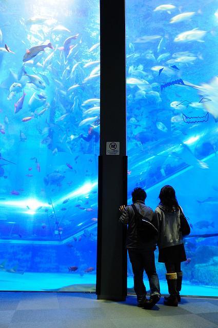 Aquarium Yokohama Hakkeijima Sea Paradise près de Tokyo