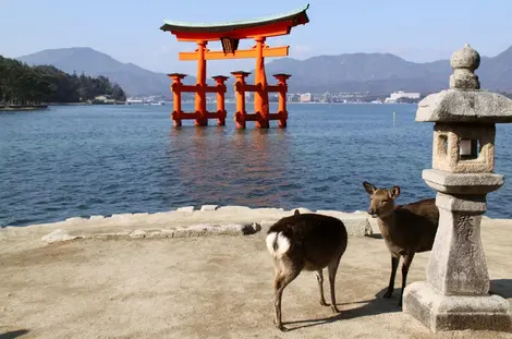 Das Torii vom Itsukushima-Schrein