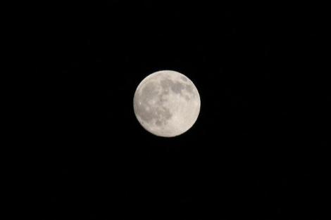La  Tsukimi, o contemplación de la luna, es una costumbre japonesa que tiene lugar entre septiembre y octubre. 