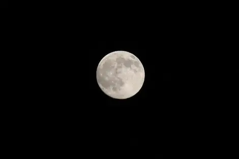 La  Tsukimi, o contemplación de la luna, es una costumbre japonesa que tiene lugar entre septiembre y octubre. 