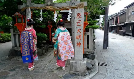 Obis mit Schleppe, Maiko