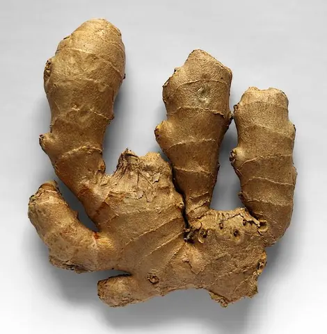 Le gingembre est originaire d'Asie Le gingembre est originaire d'Asie
