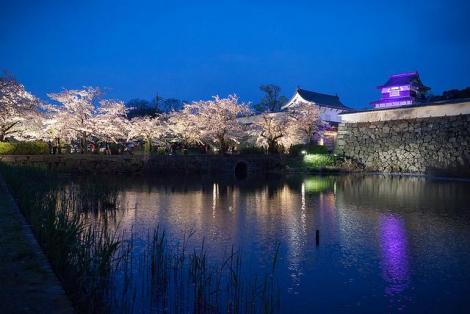 Illuminations at Fukuoka Castle, located in the heart of Maizuru Park.
