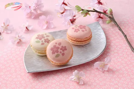 Les macarons au cerisier du centre commercial TOKYO Solamachi