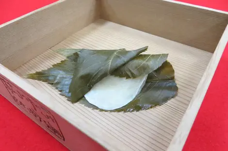 Le sakura mochi (gâteau au riz) et ses feuilles de cerisier, une pâtisserie vieille de 300 ans