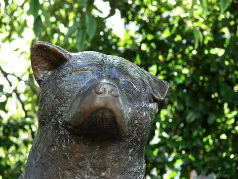 Détail de la statue de Hachikô à Shibuya