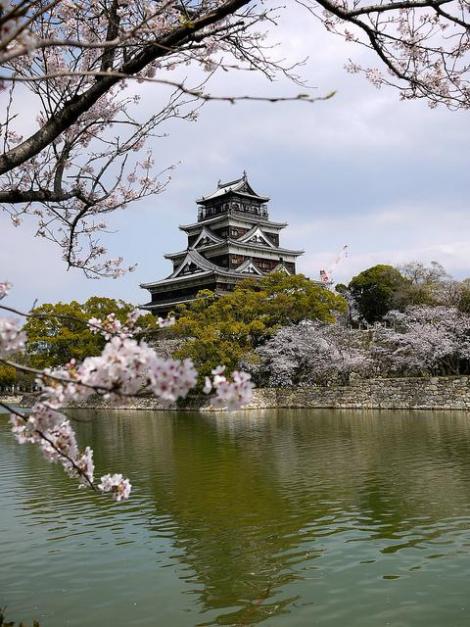 Parc du château d'Hiroshima : endroit idéal pour le hanami entre amis