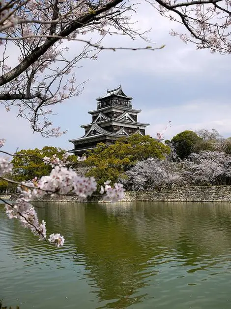 El parque del castillo de Hiroshima es el lugar perfecto para el hanami con los amigos. v