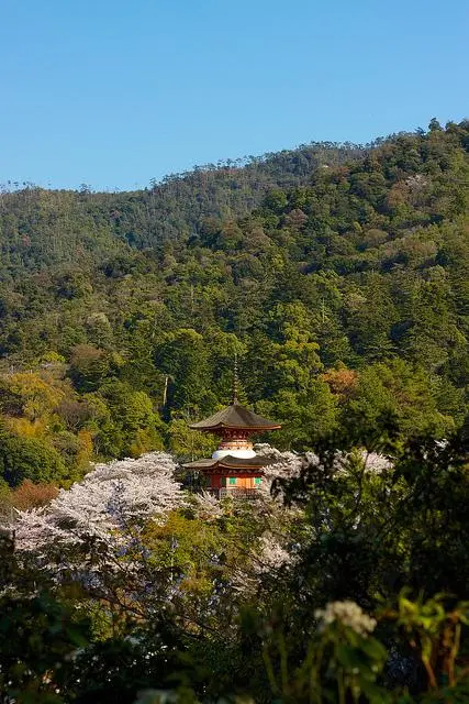 Vista de los cerezos desde la montaña en Miyajima Vista de los cerezos desde la montaña en Miyajima