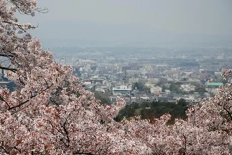 Vue depuis le mont Wakakusa, à l'extrémité Nord du Parc de Nara Vue depuis le mont Wakakusa, à l'extrémité Nord du Parc de Nara
