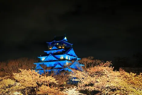 Admirez les "yozakura", cerisiers nocturnes, au parc du château d'Osaka Admirez les "yozakura", cerisiers nocturnes, au parc du château d'Osaka
