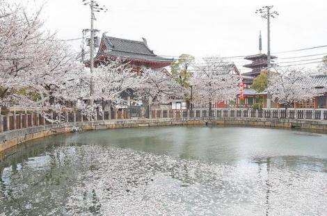 The garden of Shitennoji