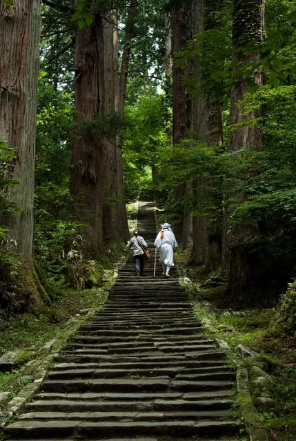 Chemin traditionnel menant à Saikan, sur le mont Haguro Chemin traditionnel menant à Saikan, sur le mont Haguro