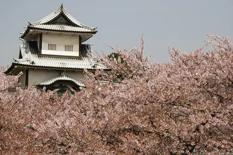 Le parc du château de Kanazawa Le parc du château de Kanazawa