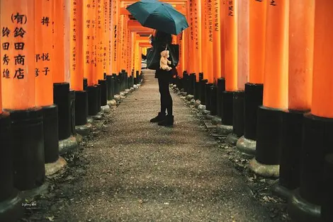 Le temple Fushimi Inari Taisha, à Kyoto, sous la pluie Le temple Fushimi Inari Taisha, à Kyoto, sous la pluie
