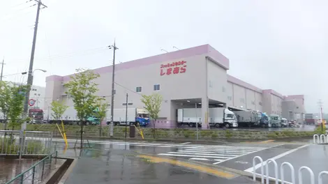 Shimamura Shimamura