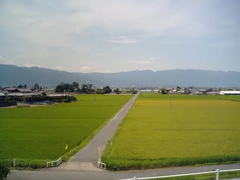 La llanura de Nobi, al suroeste de Gifu, ofrece una gran variedad de climas.