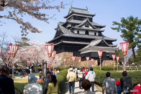 Le château de Matsue au moment des cerisiers en fleurs Le château de Matsue au moment des cerisiers en fleurs