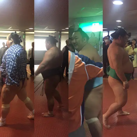 Les sumos à la sortie des vestiaires Les sumos à la sortie des vestiaires