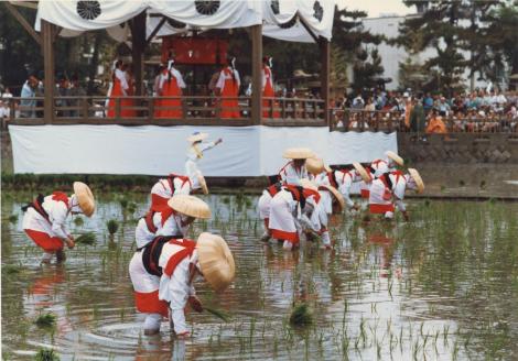 The Otaue festival in Osaka, celebrates the planting of rice