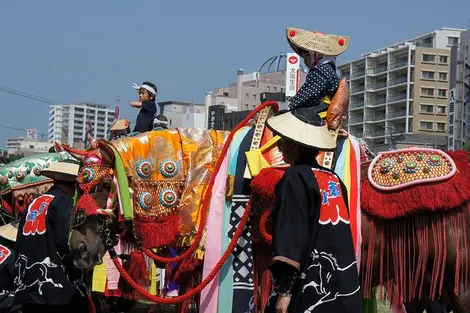 Le festival Chagu chagu umako dans la préfecture d'Iwate au Japon Le festival Chagu chagu umako dans la préfecture d'Iwate au Japon