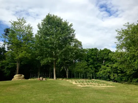 Travailler en plein air pour rétablir un jardin potager Travailler en plein air pour rétablir un jardin potager
