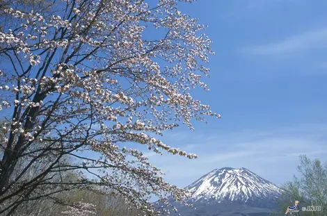 Le Mont Yôtei rappelle par sa silhouette le Mont Fuji Le Mont Yôtei rappelle par sa silhouette le Mont Fuji