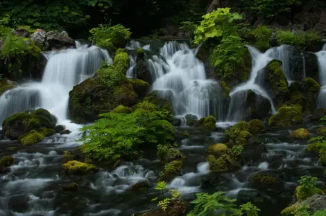 Les sources du parc Fukidashi, au village de Kyôgoku