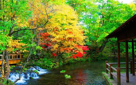 Le parc Fukidashi Kôen, tout en couleurs, au village de Kyôgoku Le parc Fukidashi Kôen, tout en couleurs, au village de Kyôgoku