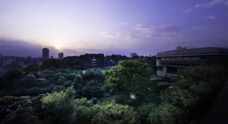 Le jardin de l'hôtel Chinsanzo à Tokyo