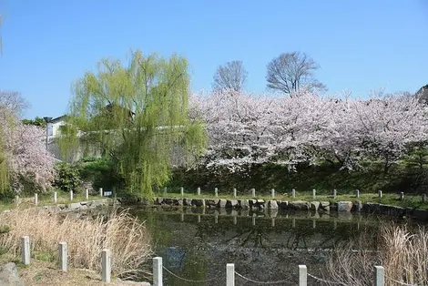 Le parc kujiraike sur l'île de Yuge