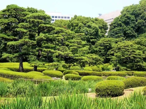 Les jardins du palais impérial de Tokyo