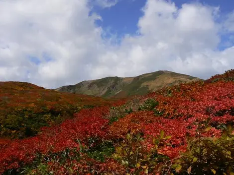 Les flancs rouges du Mont Kurikoma en automne