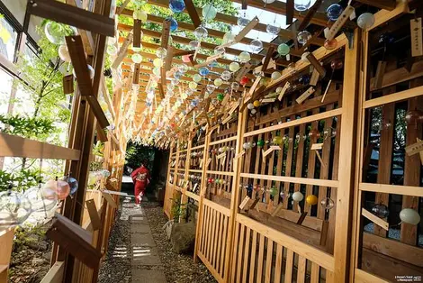 Le couloir des fûrin, au festival d'été de Kawagoe (préfecture de Saitama)