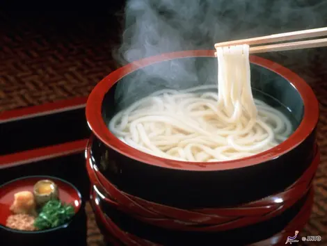 Udon Noodles Udon Noodles