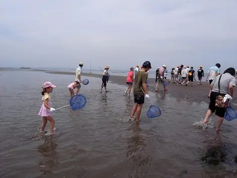 The traditional fishing with Sudate in Tokyo.