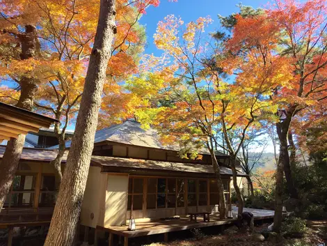 Maison de thé - Musée d'art Okada 