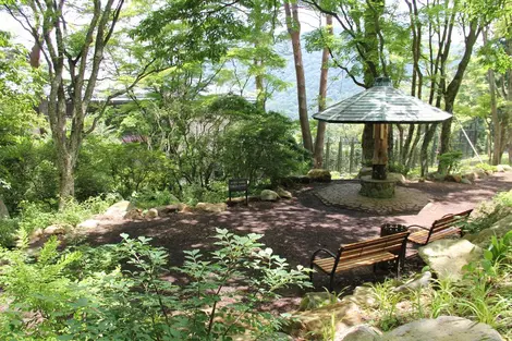 Jardin du musée durant l'été Jardin du musée durant l'été