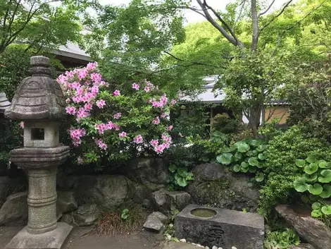 Jardin de temple jardin zen fukuoka