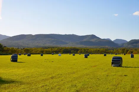 La vie du village rythmée par l'agriculture et la pêche