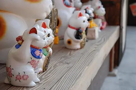 maneki neko maneki neko