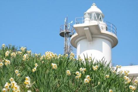 Le phare de l'île de Mu-shima, entouré de ses jonquilles blanches